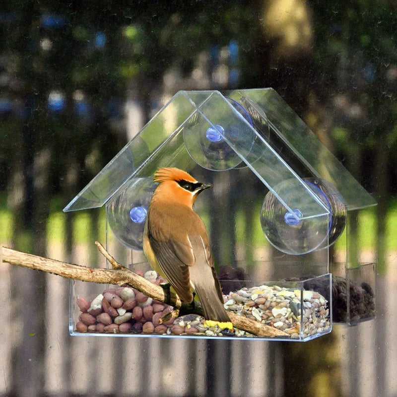 Bird Feeder Acrylic Transparent Window Bird Feeder with Camera Bird House Pet Feeder Suction Cup Installation House Type Feeder