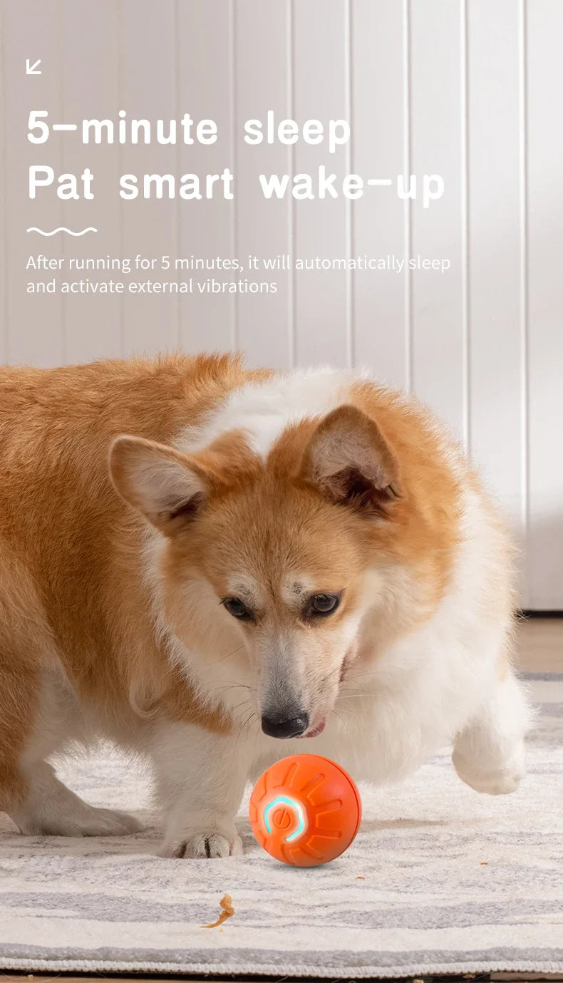 Smart Dog ,and Cat Toy Ball Electronic Interactive Pet Toy Moving Ball USB Automatic Moving Bouncing for Puppy Birthday Gift Cat Product