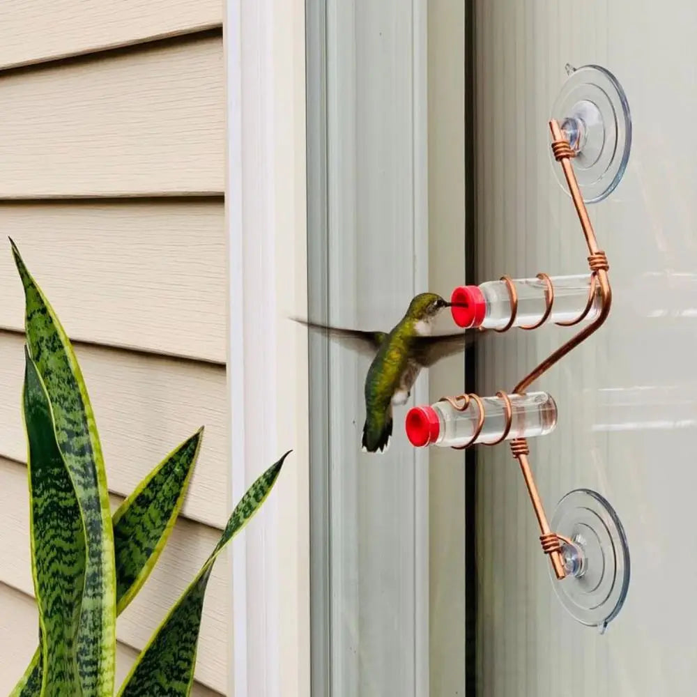 New Outdoor Glass Decoration Suction Cup Hummingbird Feeder Sweet Feeders Bird Feeder Creative